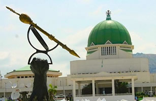 Government and politics, Legislative activities